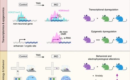 Cooperative control of neuron-specific repressive chromatin states by intellectual-disability-linked KDM1A and KDM5C demethylases
