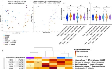 Inflammatory diseases in the offspring from mothers food additive consumption during pregnancy