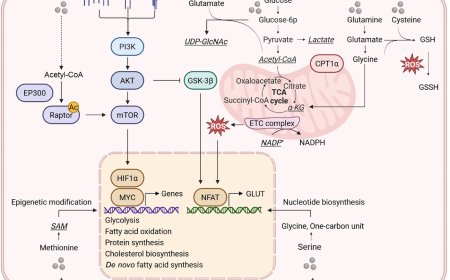 Shared metabolic–epigenetic networks of CD8+ T cell stressors