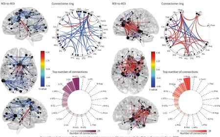Social lifetime experiences have long-lasting effects on mental and brain health
