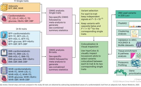 Why obesity affects people differently