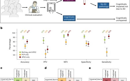New digital cognitive test for diagnosing Alzheimer's disease