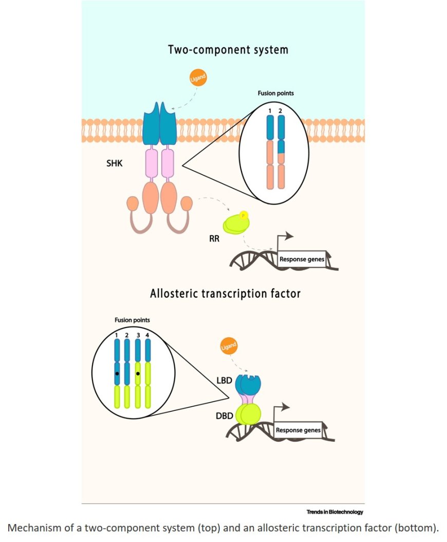 Engineering chimeric signaling proteins for microbial whole-cell biosensors: from design to deployment