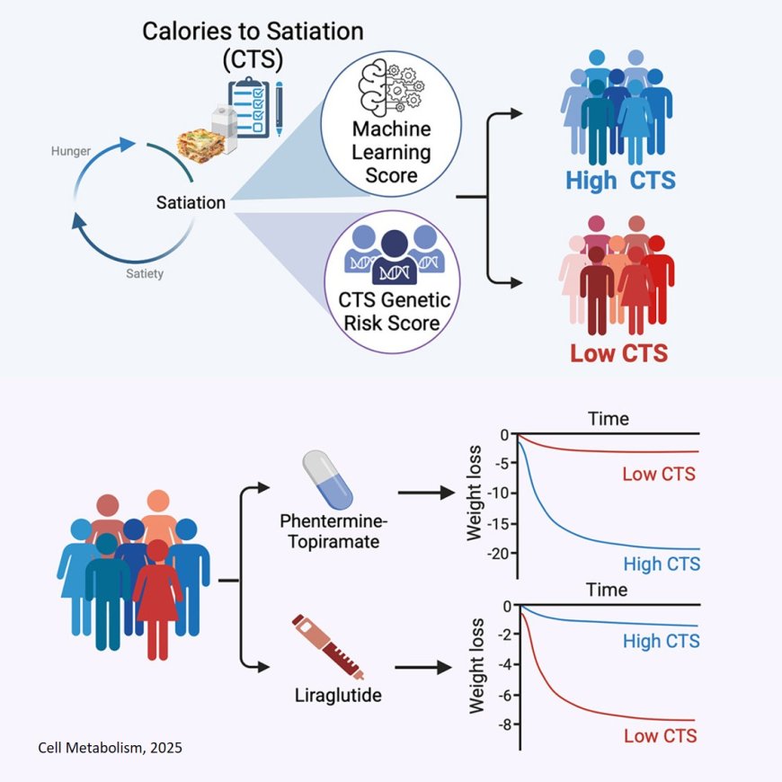 Genetic and physiological insights into satiation variability predict responses to obesity treatment