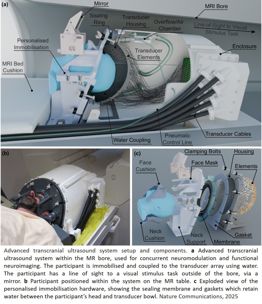 Ultrasound system for precise neuromodulation of human deep brain circuits