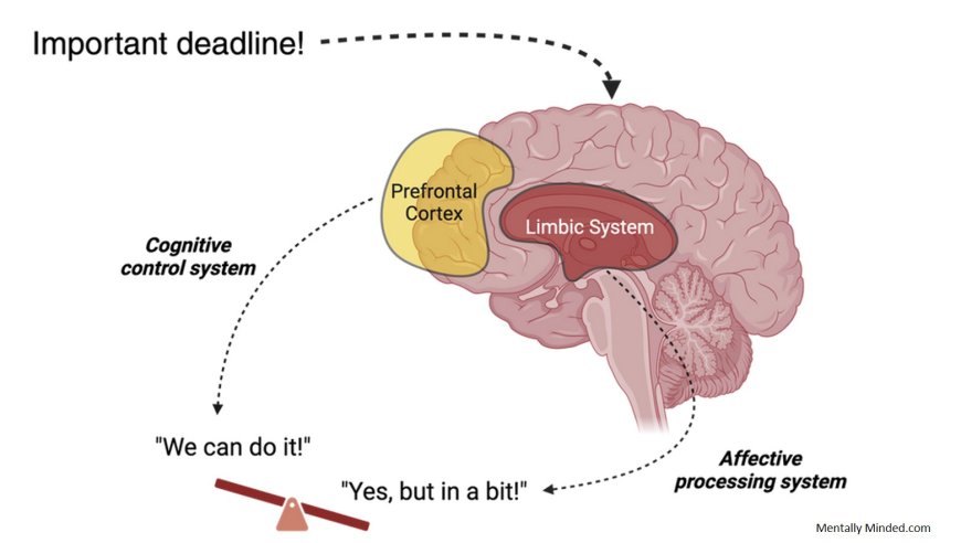 What is Procrastination?
