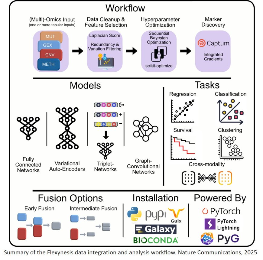 Flexynesis: A deep learning toolkit for bulk multi-omics data integration for precision oncology and beyond