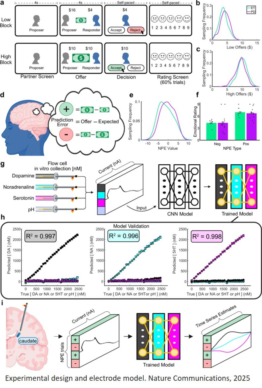 Caudate serotonin signaling during social exchange distinguishes essential tremor and Parkinson’s disease patients