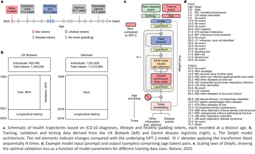 Learning the natural history of human disease with generative transformers