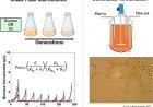 Staying productive under pressure: systems evaluations of β-carotene production in Yarrowia lipolytica under continuous fermentation