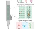 Ultra-high-density Neuropixels probes improve detection and identification in neuronal recordings