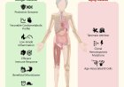 Extreme lifespan multiomics