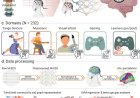 Creative experiences delay brain aging