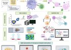 A software to model tumor dynamics