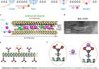 New insight into ion transport via angstrom-scale two-dimensional channels