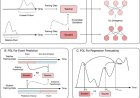 AI improves seizure prediction