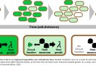 Strategies to boost protein production from engineered cells