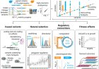 A genome-to-proteome map