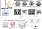 Synaptic vesicle release revealed by time-resolved cryo-ET