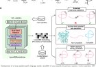 A language model for enhanced lasso peptide property prediction