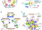 Targeting BRD4 bromodomains and beyond: exploring new therapeutic frontiers