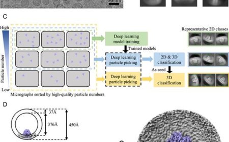 A novel vesicle-based method to capture the native structure of membrane proteins