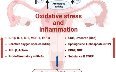 Molecular mechanisms of endometriosis and comorbidities