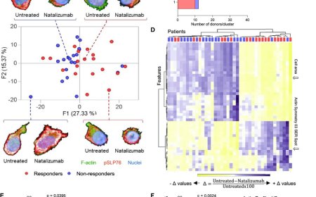 Predicting if multiple sclerosis medication will be effective for patients