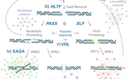 REPAIROME, a catalog of human DNA repair