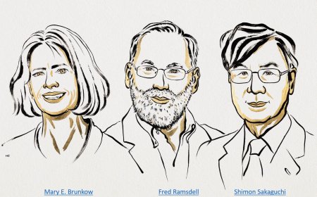 Nobel Prize in Physiology or Medicine