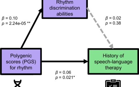Connection between impaired musical rhythm abilities and developmental speech-language disorders