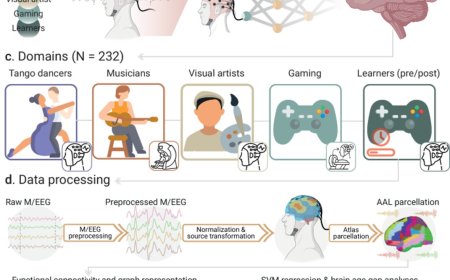 Creative experiences delay brain aging