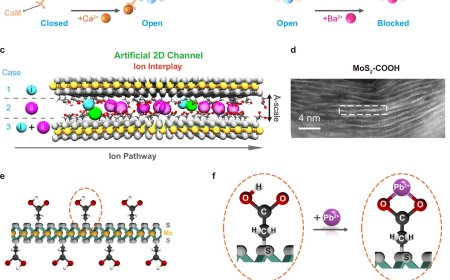 New insight into ion transport via angstrom-scale two-dimensional channels