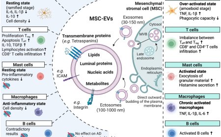 Extracellular vesicles to treat neurodegenerative disorders