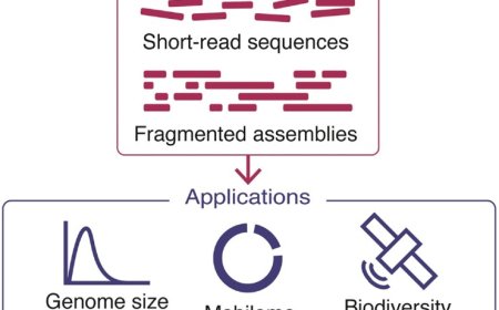 Short-read sequencing in biodiversity research