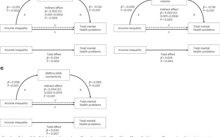 Societal inequality linked to structural brain changes in children