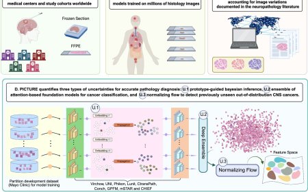 Uncertainty-aware ensemble of foundation models differentiates glioblastoma from its mimics