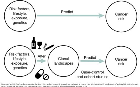 Somatic mutation and selection at population scale