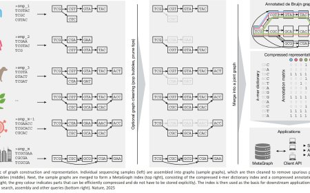 Efficient and accurate search in petabase-scale sequence repositories