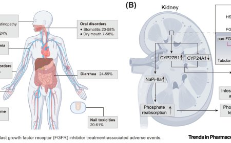 Isoform-selective fibroblast growth factor receptor inhibitors