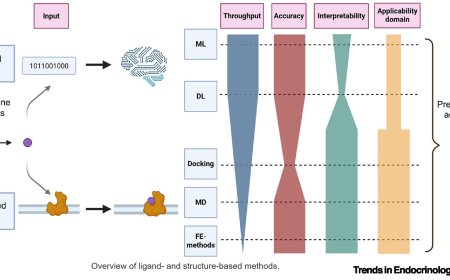 In silico prediction of endocrine activity