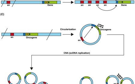 How structural variation shapes the cancer epigenome