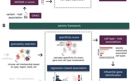 Disentangling associations between complex traits and cell types with seismic