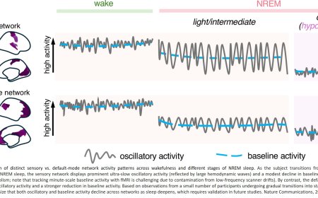 Simultaneous EEG-PET-MRI identifies temporally coupled and spatially structured brain dynamics across wakefulness and NREM sleep