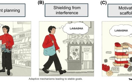 The adaptive value of stubborn goals