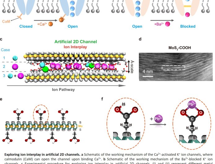 New insight into ion transport via angstrom-scale two-dimensional channels
