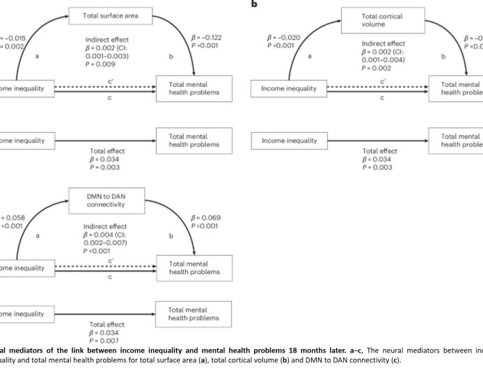 Societal inequality linked to structural brain changes in children