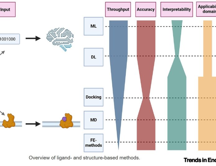 Endocrine activity prediction