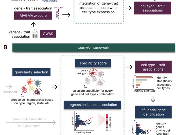 Algorithm maps genetic connection between Alzheimer’s and specific neurons