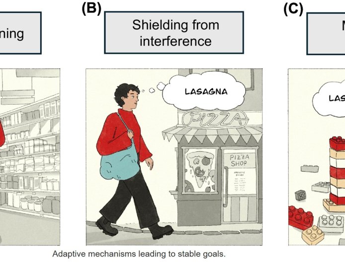 The adaptive value of stubborn goals
